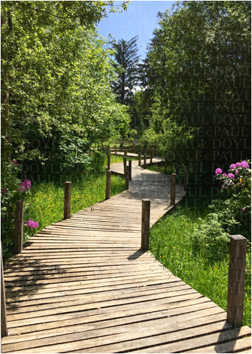 Aurora Garden